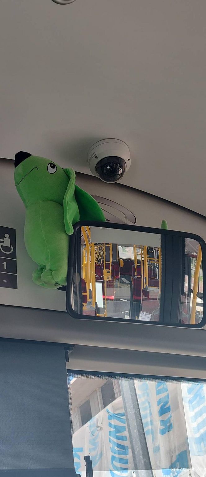  Jamnik za 799 złotych! Kierowczyni autobusu w Warszawie ukarana za maskotkę na szybie. „Chcę walczyć z tym absurdem”