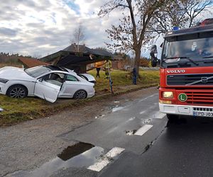 Fatalny wypadek pod Poddębicami. 33-latka z audi staranowała przystanek [ZDJĘCIA].