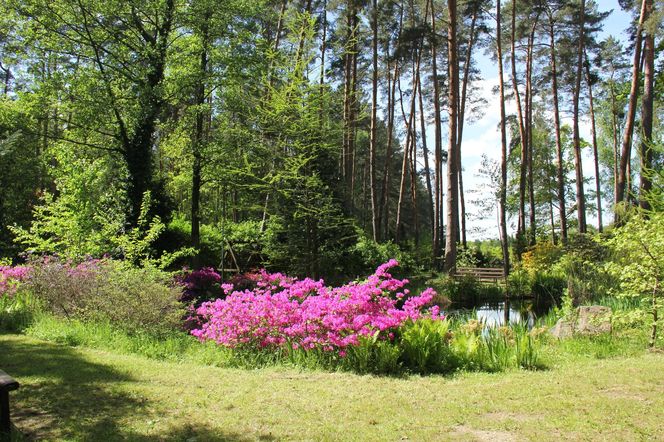 Magiczne miejsce godzinę drogi od Wrocławia. Niewielu turystów tu trafia 