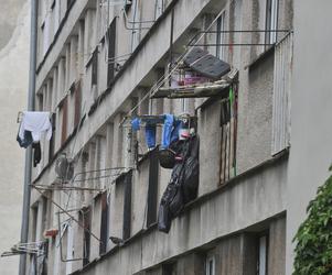 Tragiczne warunki mieszkalne w Warszawie. W pokoju robactwo, a w piwnicach szczury