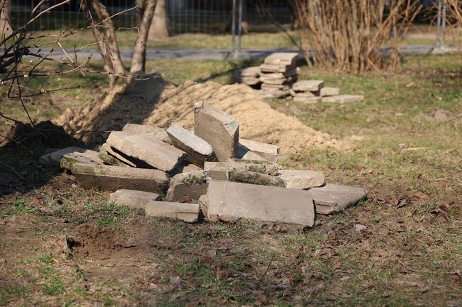 Skwer im. abp Życińskiego zmienia swoje oblicze