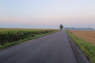 Tajemniczy wypadek pod Gnieznem. 32-latek zginął na prostej drodze