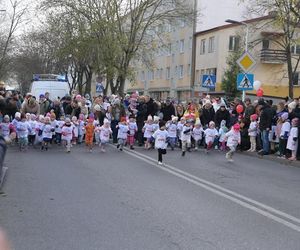 Mali i duzi pobiegli dla Polski! Druga edycja Ulicznych Biegów Niepodległości