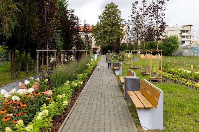 Nowy ogród kieszonkowy w Rzeszowie. Posadzili prawie 1400 roślin