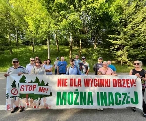 Władze spotkają się z mieszkańcami. W tle wycinka drzew