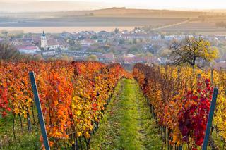 Na dobre wino do Czech