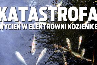 Wyciek w elektrowni Kozienice