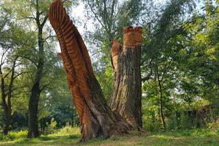 Park Kępa Potocka z nowymi rzeźbami