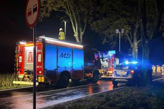 Volvo wbiło się w drzewo i stanęło w płomieniach. Kierowca spłonął żywcem! 