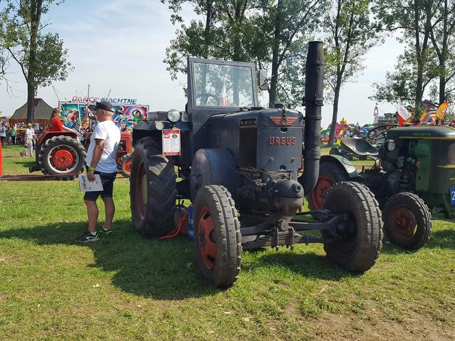 Festiwal starych ciągników w Wilkowicach. Setki maszyn, tysiące widzów i upał