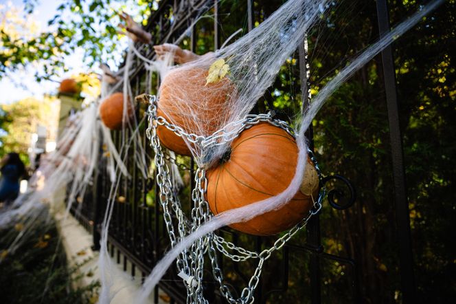 Willa na Jaśkowej Dolinie w Gdańsku