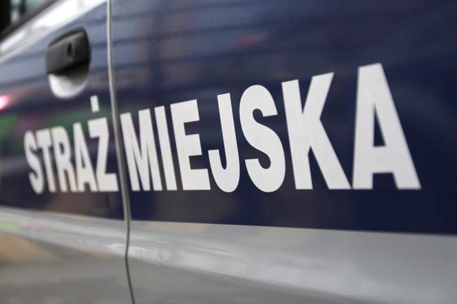 Straż miejska w Rzeszowie szuka nowych funkcjonariuszy