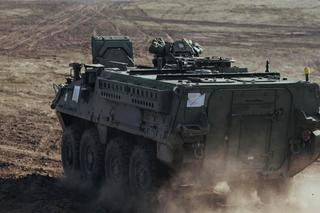 Transporter Stryker na Ukrainie