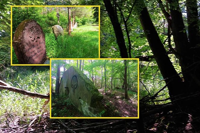Cmentarz i ruiny pałacu rodu von Ramin