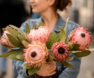 Czy egzotyczna protea może zastąpić chryzantemy na cmentarzach?  