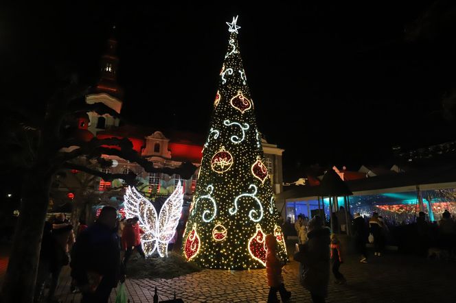 Pszczyński Jarmark Świąteczny w poprzednich latach