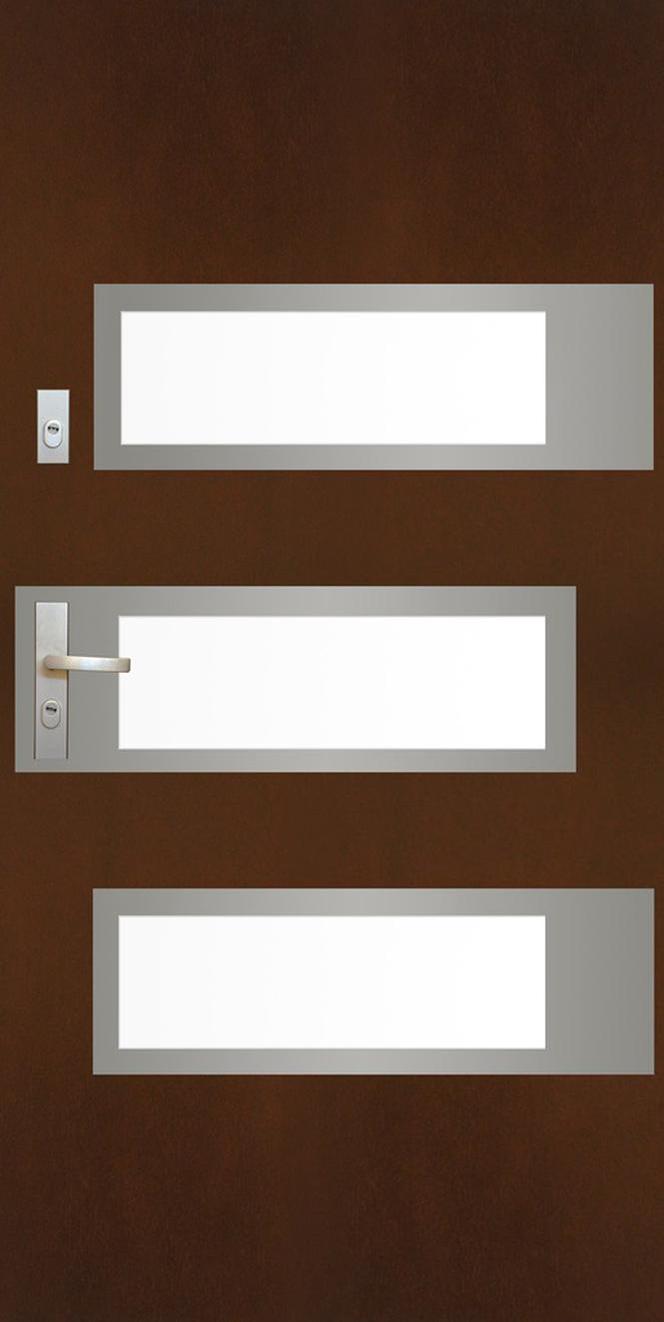 Drzwi zewnetrzne ze świetlikami i stalowymi aplikacjami