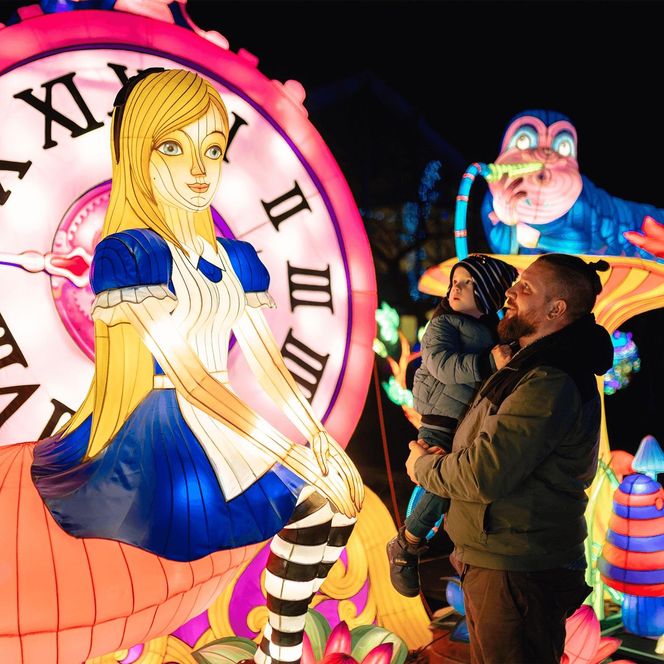 Śląsk zamienia się w Krainę Czarów. Ta magiczna wystawa świateł to absolutny hit jesieni i zimy