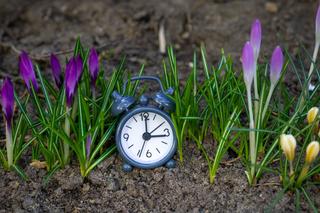Zmiana czasu wiosna 2023 - kiedy i w którą stronę przestawia się zegarki?