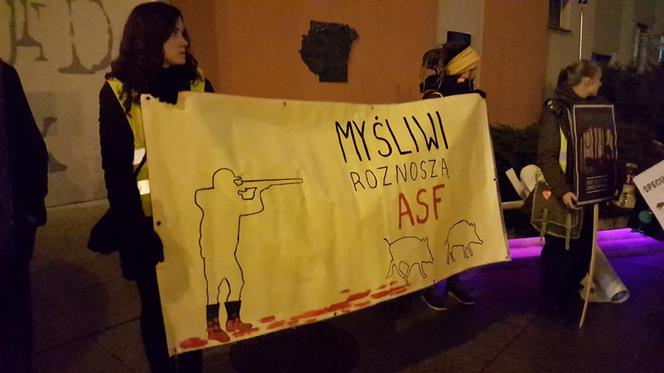 Ekolodzy boją się o dziki. Wyszli na ulice Bydgoszczy, by zaprotestować
