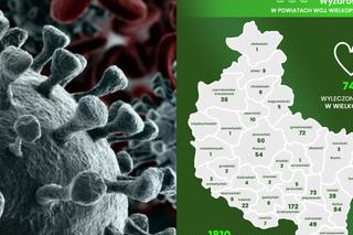 Koronawirus w Wielkopolsce. Te dane napawają OPTYMIZMEM [RAPORT]