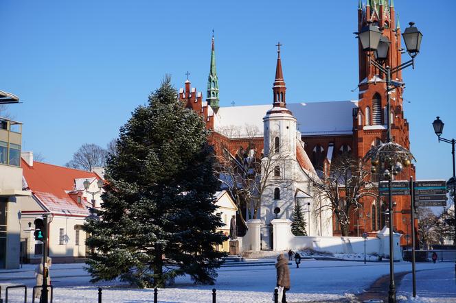 Choinka stanęła w centrum Białegostoku. 12-metrowa atrakcja gotowa na Boże Narodzenie