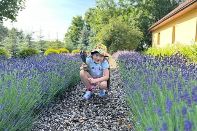 Siostry z Bydgoszczy same zarabiają na wakacje. Sprzedają kwiaty, jakie trudno dostać gdzie indziej