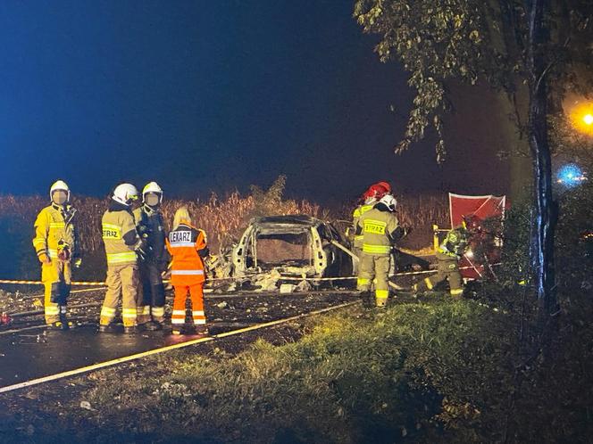 Volvo wbiło się w drzewo i stanęło w płomieniach. Kierowca spłonął żywcem! 