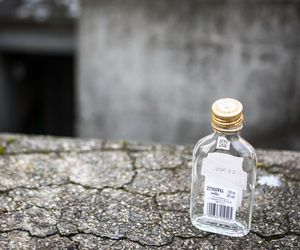 Małpki nie tracą na popularności. W tych gminach pije się najwięcej alkoholu