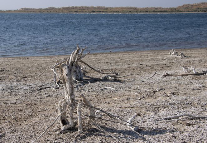 To największa katastrofa ekologiczna w dziejach. "Każdy podmuch wiatru jest potencjalnym atakiem chemicznym"