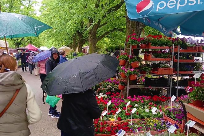 Kiermasz "Pamiętajcie o ogrodach"