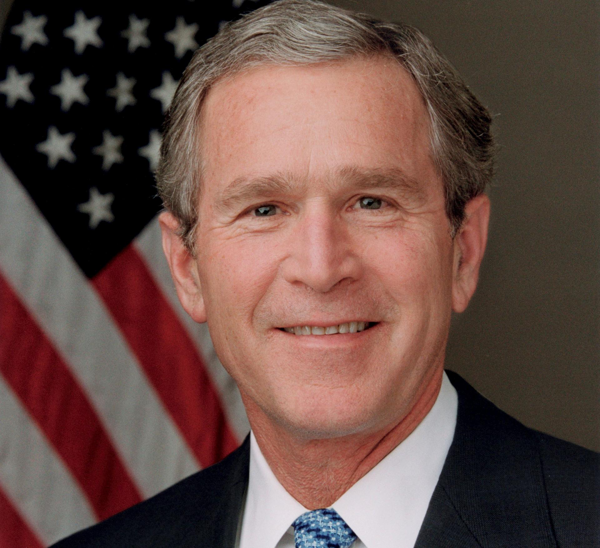 Blonde Bush Pictures