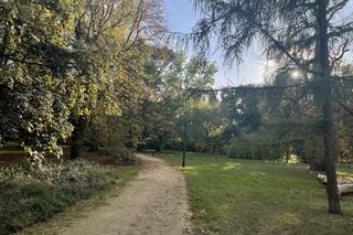 Jesień w parku Praskim