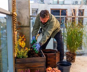 Jesienna metamorfoza balkonu