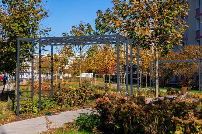 Park linearny na Bielanach w Warszawie