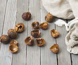 Orzechy piorące: zastosowanie. Czy orzechy piorące naprawdę działają?