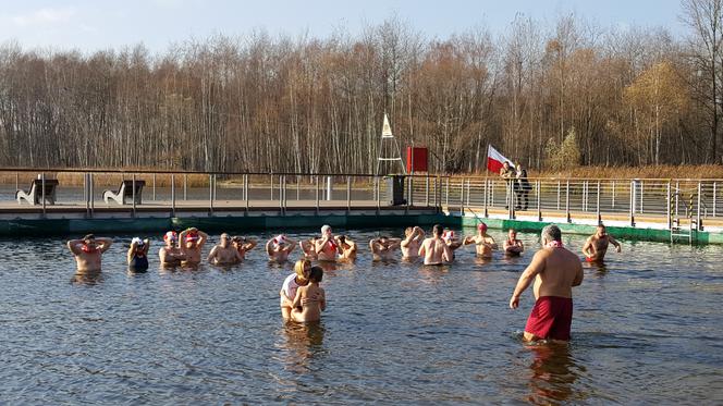 W Sosnowcu morsy świętowały 100-lecie niepodległości