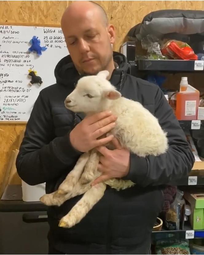 Zostałem mamą Henia