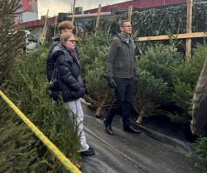 Mateusz Morawiecki wybiera choinkę na bazarze. Do świąt przygotowuje się z rodziną