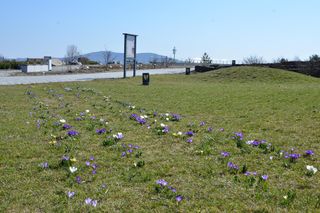 Ogród Botaniczny w Kielcach przed sezonem 2025