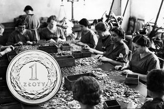 101. urodziny złotego