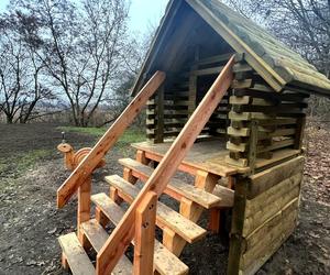 Naturalny plac zabaw powstał w Poznaniu