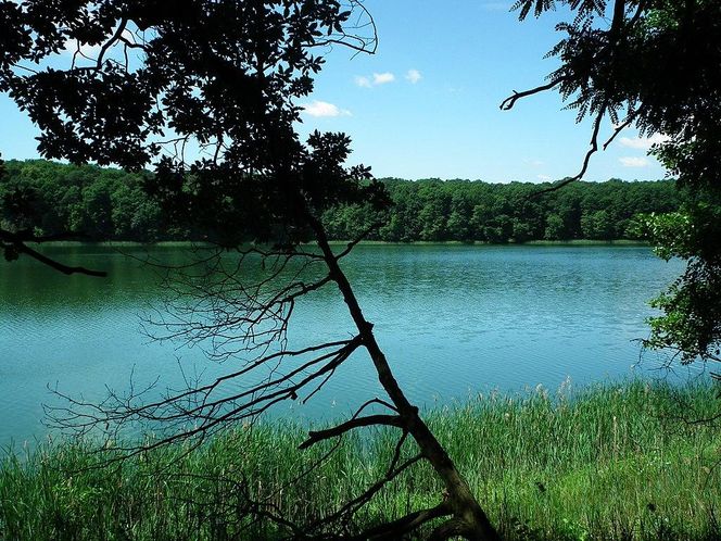 Jezioro Góreckie (Wielkopolski Park Narodowy)