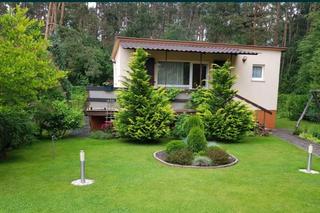 Za ile można teraz kupić działkę rekreacyjną w Bydgoszczy i okolicach. Znamy ceny i lokalizację