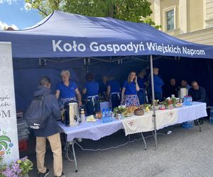 Przystanek Cabrio Powiat Ostródzki