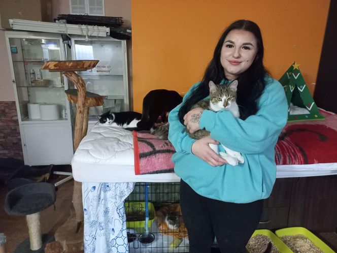 Poszukiwani wolontariusze do pomocy w Kociarni w Lesznie