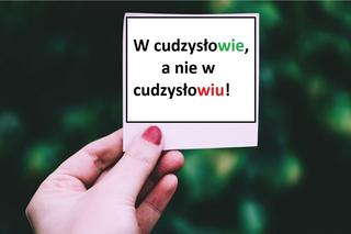 Rażące i najpopularniejsze błędy w języku polskim, które robimy na co dzień