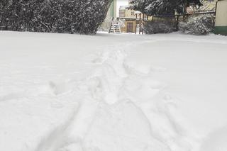 Terminy rozpoczęcia i zakończenia ferii zimowych 2023 we wszystkich województwach