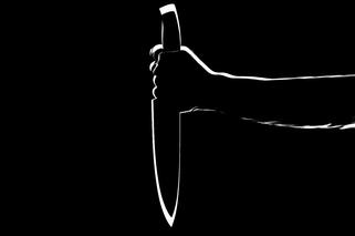 Horror pod Głogowem! 20-latka zabiła swojego dziadka i jego znajomego nożem. Usłyszała zarzuty 