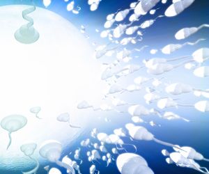 Plemniki: ich kondycji sprzyja niższa temperatura